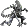 Avatar du membre