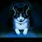Avatar du membre