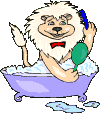 Avatar du membre